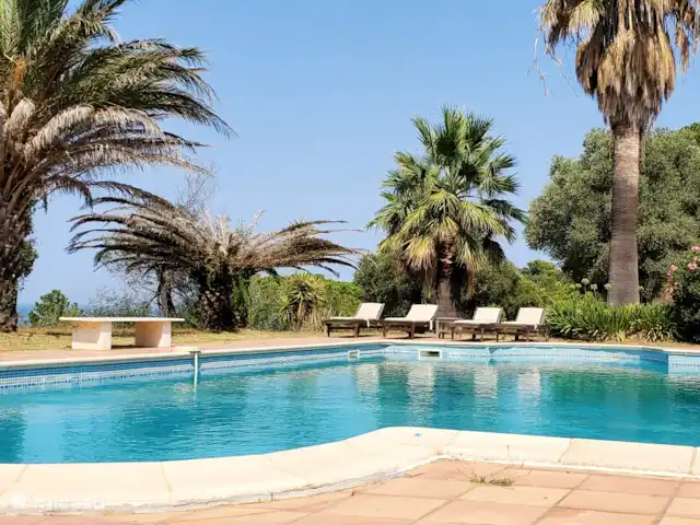 Location de Vacances France, Pyrénées-Orientales, Argelès-sur-Mer, appartement - Appartement Argelès-sur-Mer vue mer