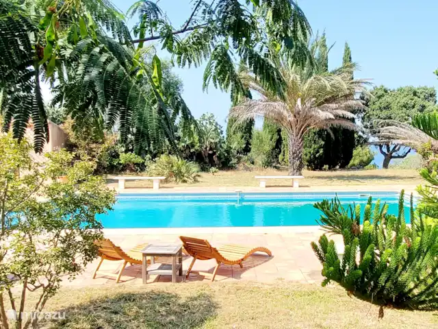 Location de Vacances France, Pyrénées-Orientales, Argelès-sur-Mer, appartement - Appartement Argelès-sur-Mer vue mer