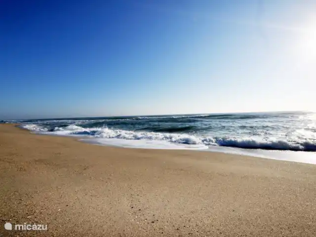 Location de Vacances France, Pyrénées-Orientales, Argelès-sur-Mer, appartement - Appartement Argelès-sur-Mer vue mer