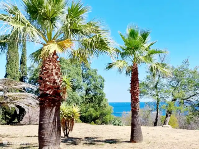 Location de Vacances France, Pyrénées-Orientales, Argelès-sur-Mer, appartement - Appartement Argelès-sur-Mer vue mer