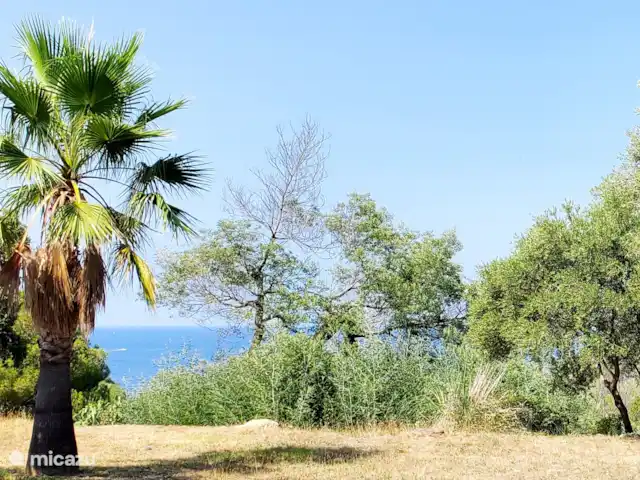 Location de Vacances France, Pyrénées-Orientales, Argelès-sur-Mer, appartement - Appartement Argelès-sur-Mer vue mer