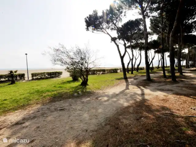 Location de Vacances France, Pyrénées-Orientales, Argelès-sur-Mer, appartement - Appartement Argelès-sur-Mer vue mer