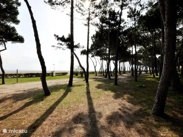 Location de Vacances France, Pyrénées-Orientales, Argelès-sur-Mer, appartement - Appartement Argelès-sur-Mer vue mer