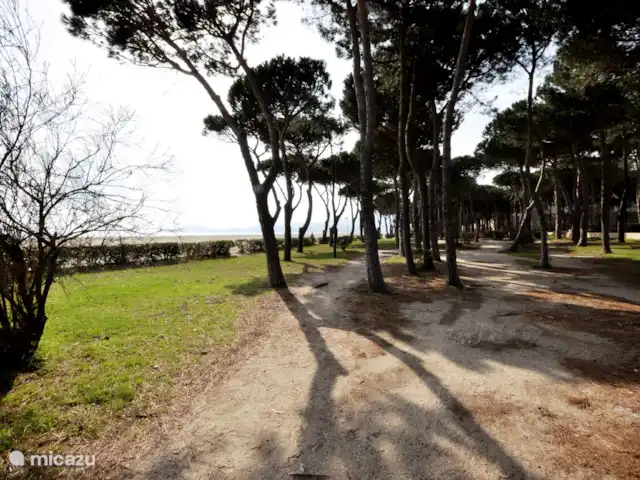 Location de Vacances France, Pyrénées-Orientales, Argelès-sur-Mer, appartement - Appartement Argelès-sur-Mer vue mer