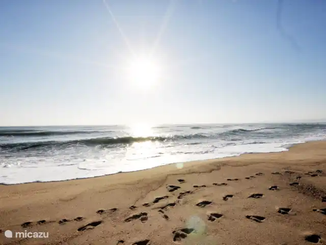 Location de Vacances France, Pyrénées-Orientales, Argelès-sur-Mer, appartement - Appartement Argelès-sur-Mer vue mer