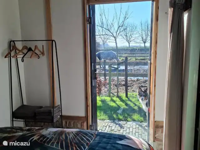 Le doux Ermgaard  | Pays-Bas, Zélande, Oudelande - maison mitoyenne Vue de la chambre, avec du beau temps, vous pouvez marcher dehors en un rien de temps !