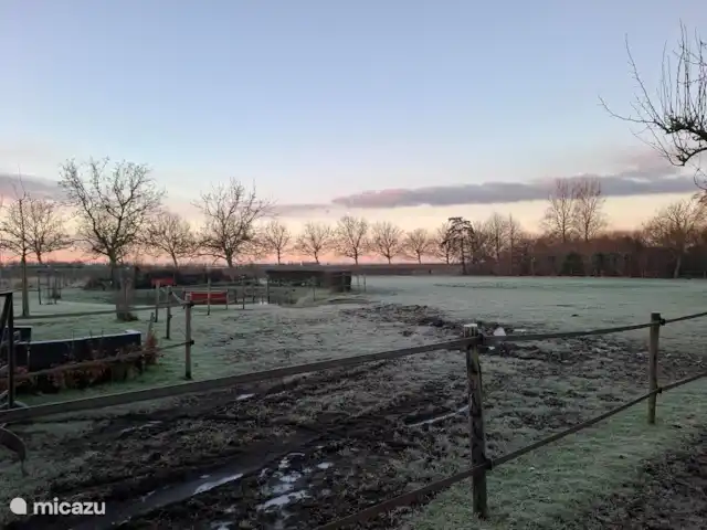 Le doux Ermgaard  | Pays-Bas, Zélande, Oudelande - maison mitoyenne Photo d’hiver