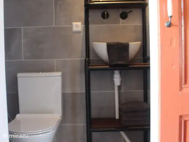 Le doux Ermgaard  | Pays-Bas, Zélande, Oudelande - maison mitoyenne Salle de bain compacte avec toilettes, lavabo et douche.