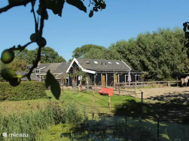 Le doux Ermgaard  | Pays-Bas, Zélande, Oudelande - maison mitoyenne Le gîte est situé dans un bel espace verdoyant en bordure d’un village
