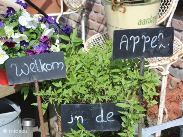 Le doux Ermgaard  | Pays-Bas, Zélande, Oudelande - maison mitoyenne Bienvenue chez de Appel !