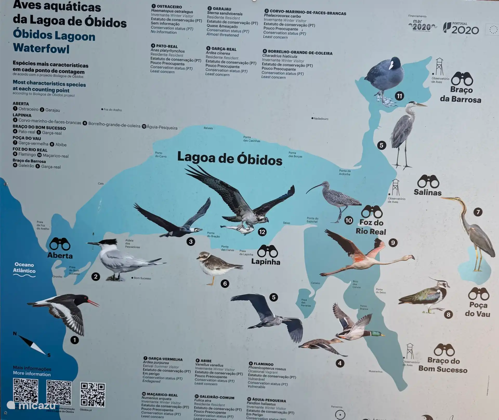 Overzicht vogels lagune in Foz