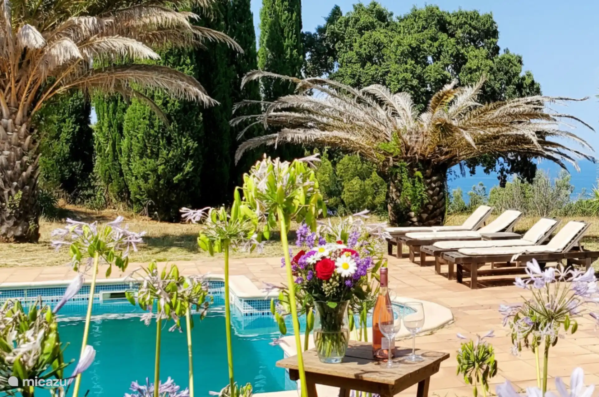 appartement huren in Pyrénées-Orientales, Frankrijk – Zee & Berguitzicht, Argelès Zwembad