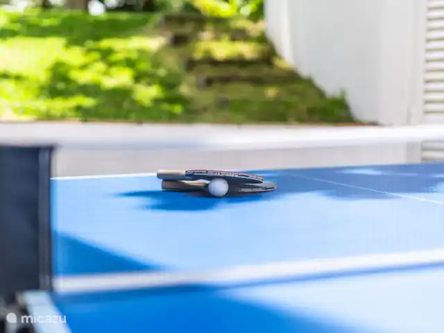 Villa Koala | Portugal, Côte de Lisbonne, Aroeira - villa Ping-pong