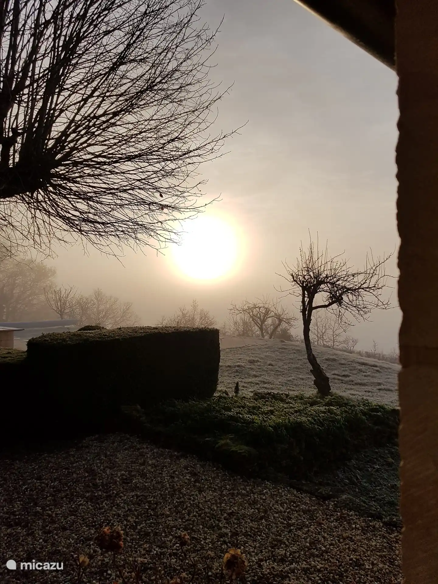 Morgennebel - Blick aus dem Garten