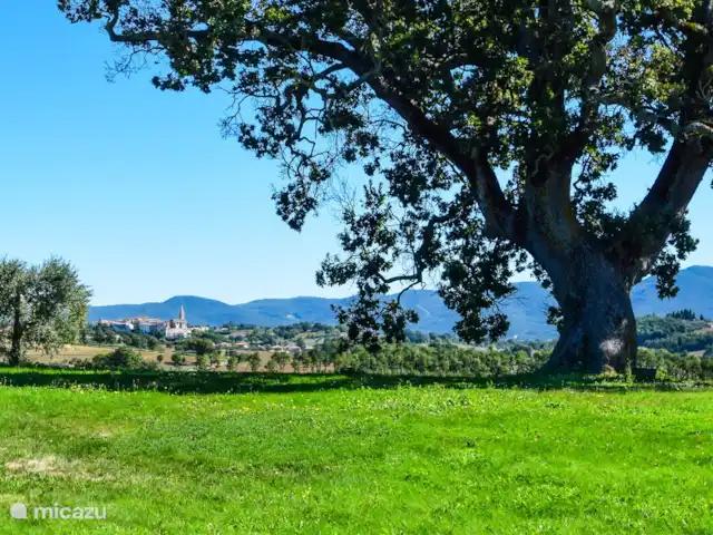 Grande villa avec piscine privée Ombrie | Italie, Ombrie, Montecastrilli - villa