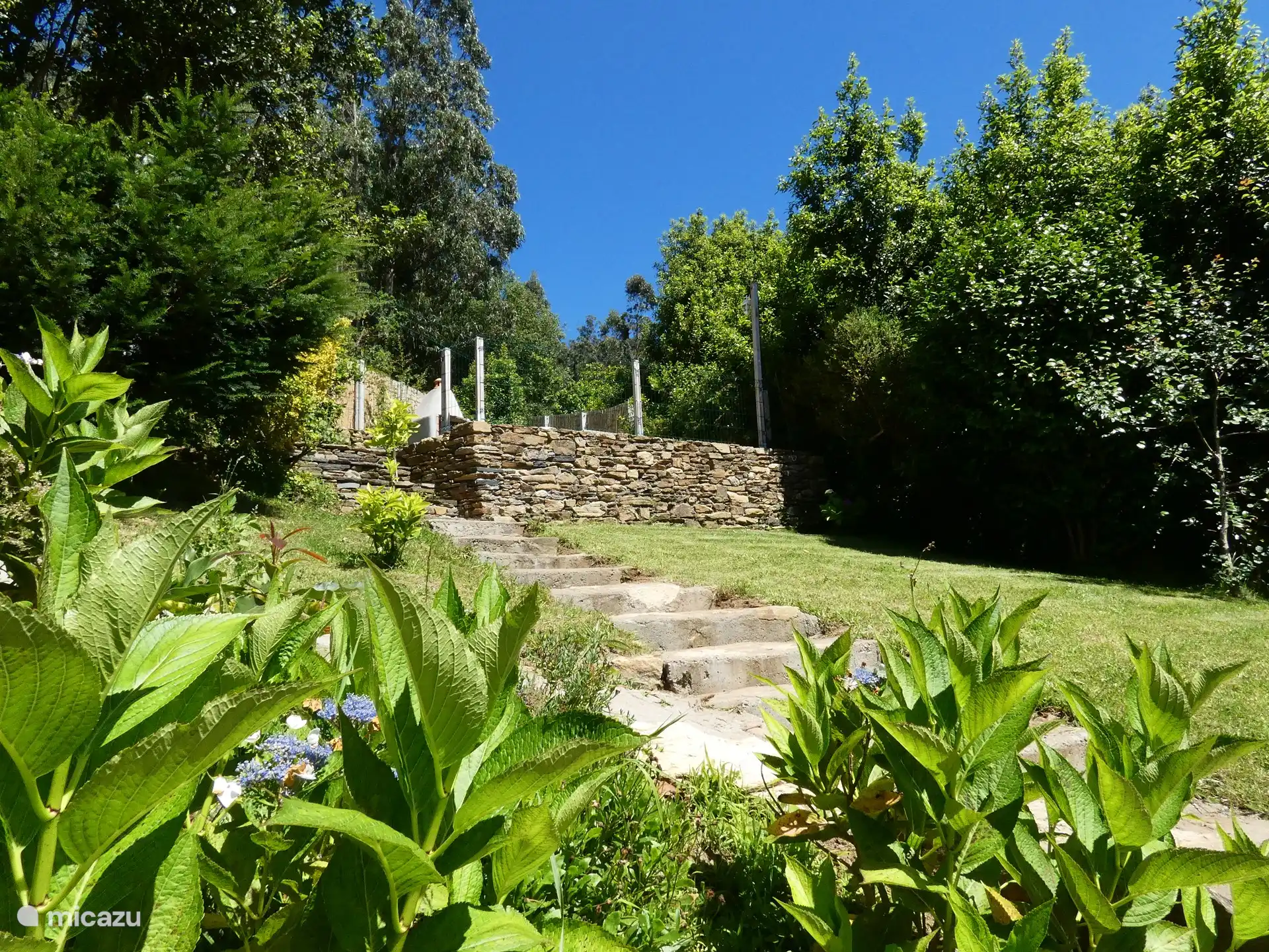 Benjamin's Enclosed Garden