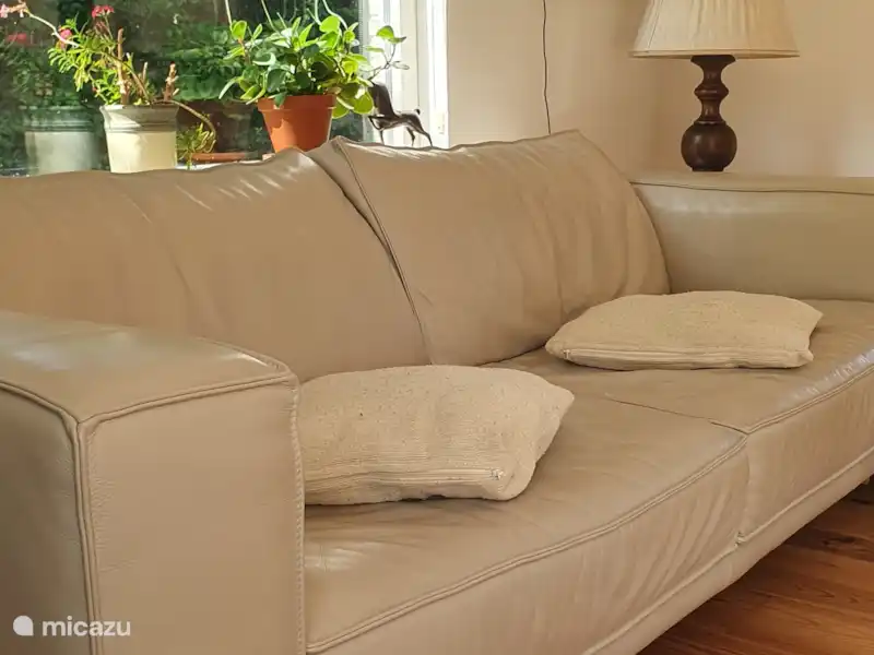 ABSINTHE DE MER  | Pays-Bas, Ameland, Ballum - Bungalow ABSINTHE DE MER  | Pays-Bas, Ameland, Ballum - Bungalow