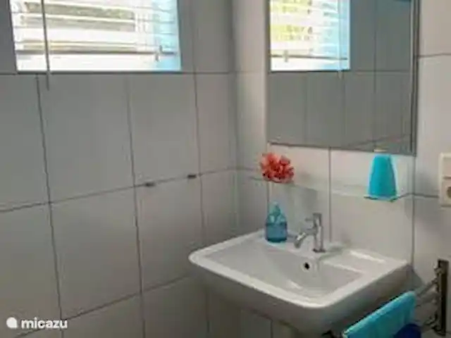 Location de Vacances Curaçao, Banda Abou (ouest), Fontein, appartement - Sonrisa Curaçao, Solo Salle de Bains
