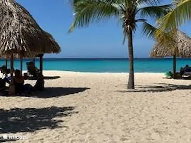 Location de Vacances Curaçao, Banda Abou (ouest), Fontein, appartement - Sonrisa Curaçao, Solo Plage de Daaibooi. Vous y êtes en 10 minutes (en voiture)
