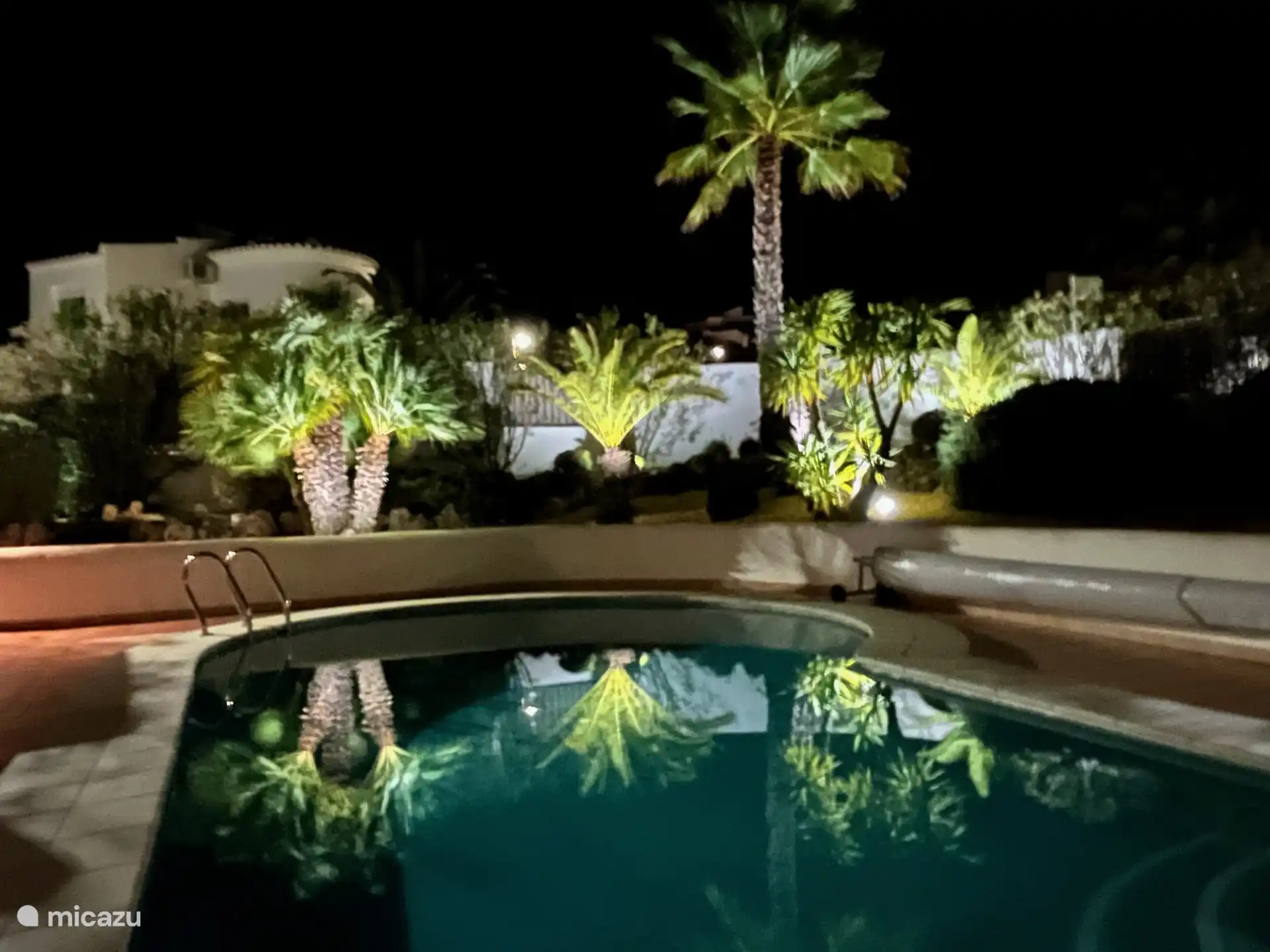 Fairytale illuminated garden