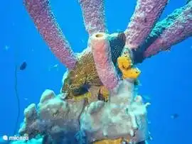 Close to beautiful dive sites