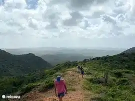 Take beautiful hikes and discover the beautiful nature of Curaçao