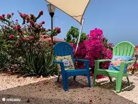 Cozy seating area in the garden. Watch the hummingbirds fluttering around.