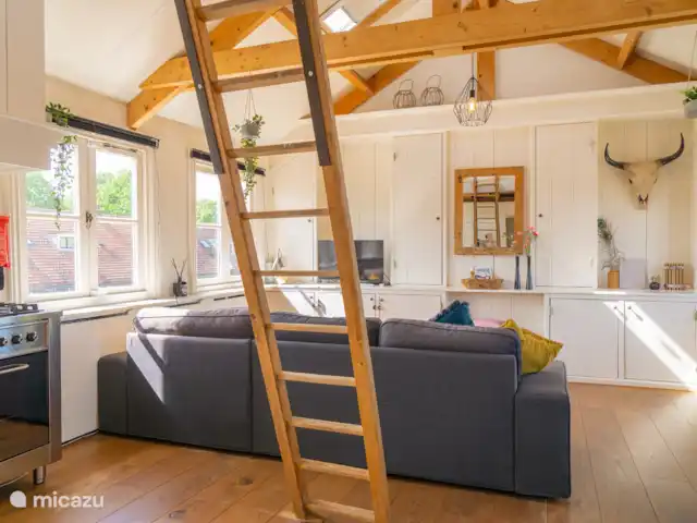Patas en casa en Países Bajos, Holanda del Norte, Alkmaar - apartamento Salón