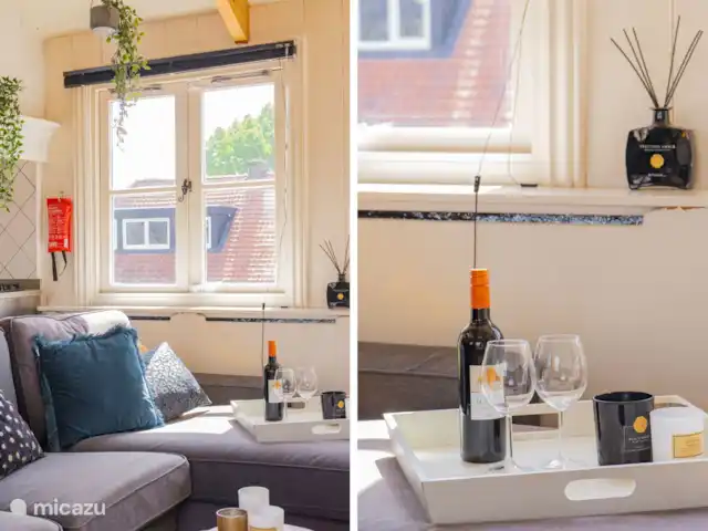 Patas en casa en Países Bajos, Holanda del Norte, Alkmaar - apartamento Salón