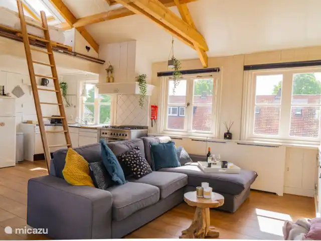 Patas en casa en Países Bajos, Holanda del Norte, Alkmaar - apartamento Salón