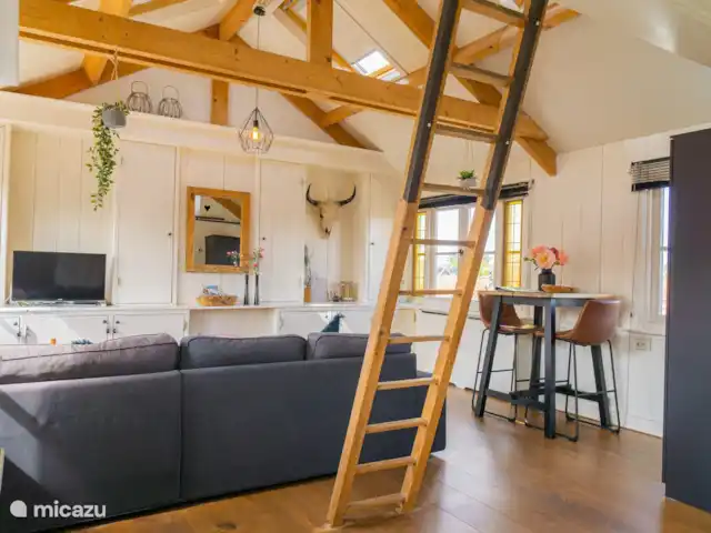 Patas en casa en Países Bajos, Holanda del Norte, Alkmaar - apartamento Salón