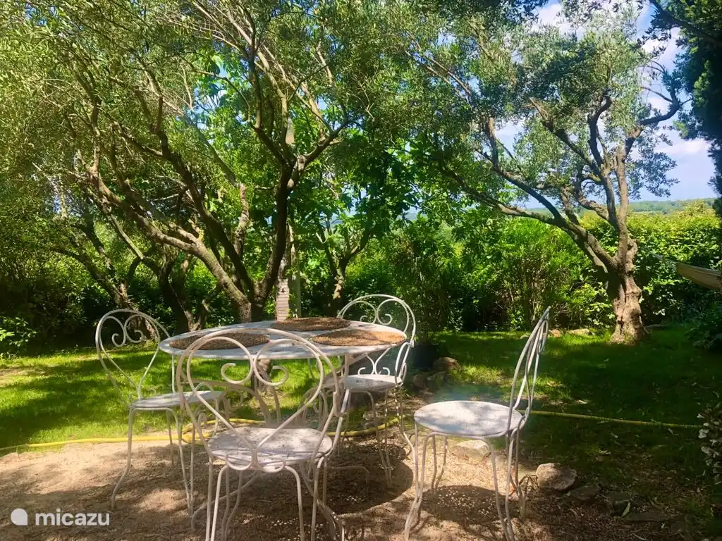 Garden table behind garden