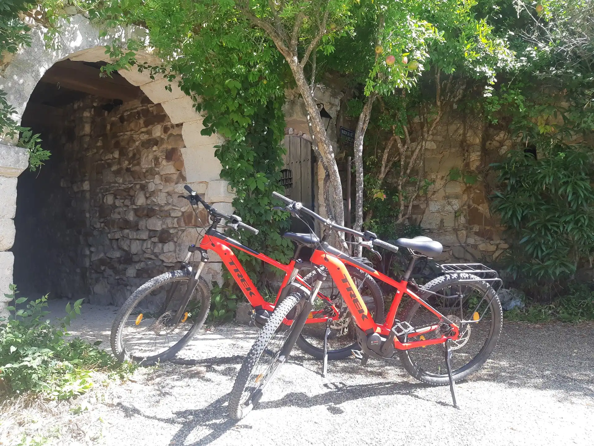E-mountain bikes for rent