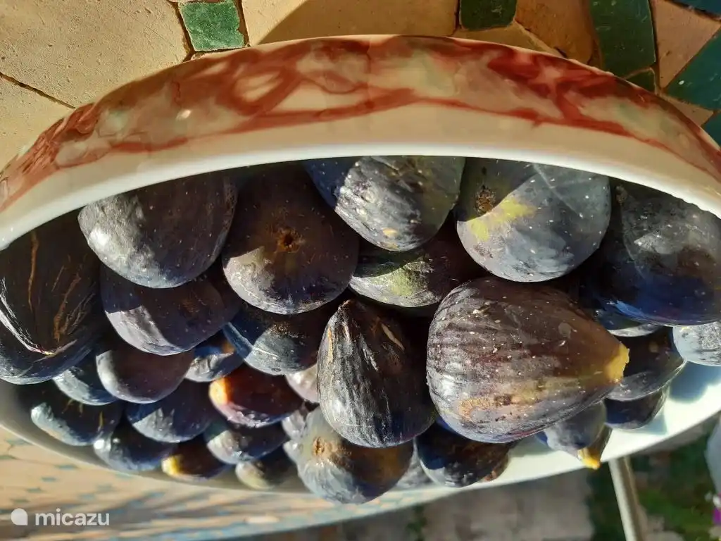 Figs from our garden