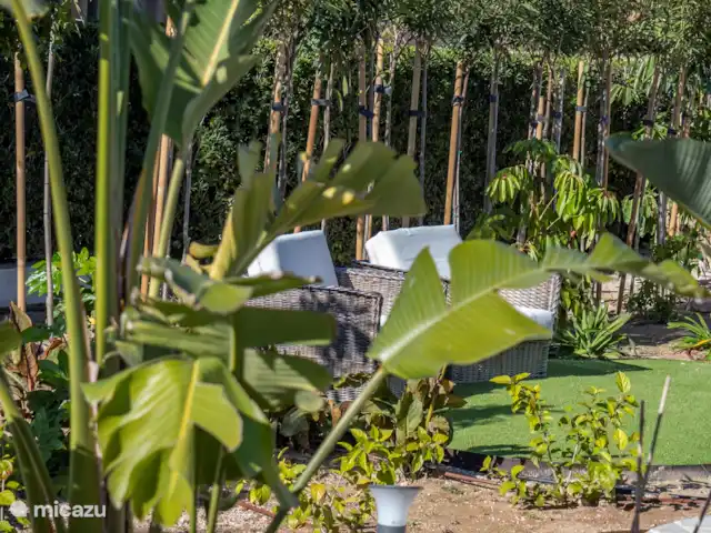 Casa Dory huren in Spanje, Costa Blanca, Jávea - villa Tuin