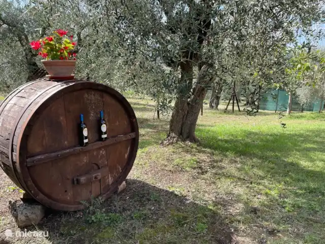 Groepsaccommodatie, Italië, Umbrië, Panicale, villa Huis met privé zwembad Trasimenomeer