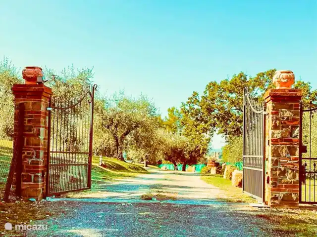 Groepsaccommodatie, Italië, Umbrië, Panicale, villa Huis met privé zwembad Trasimenomeer
