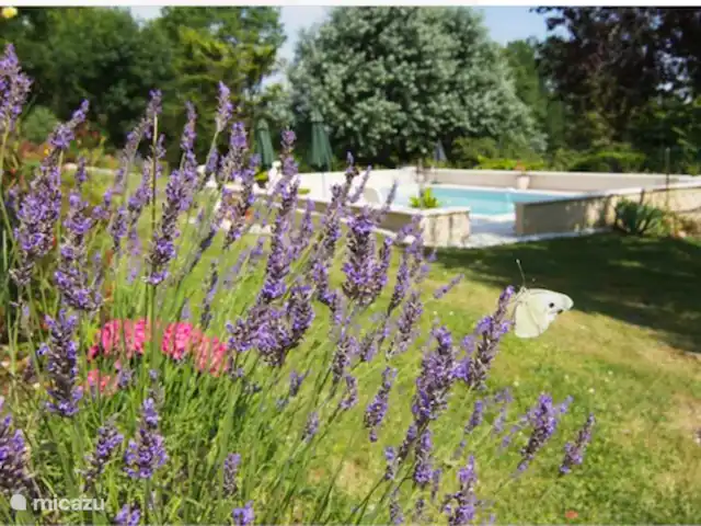 gîte / cottage huren in Frankrijk, Dordogne, Ribagnac – Les Crocus - La Tour Zomer...