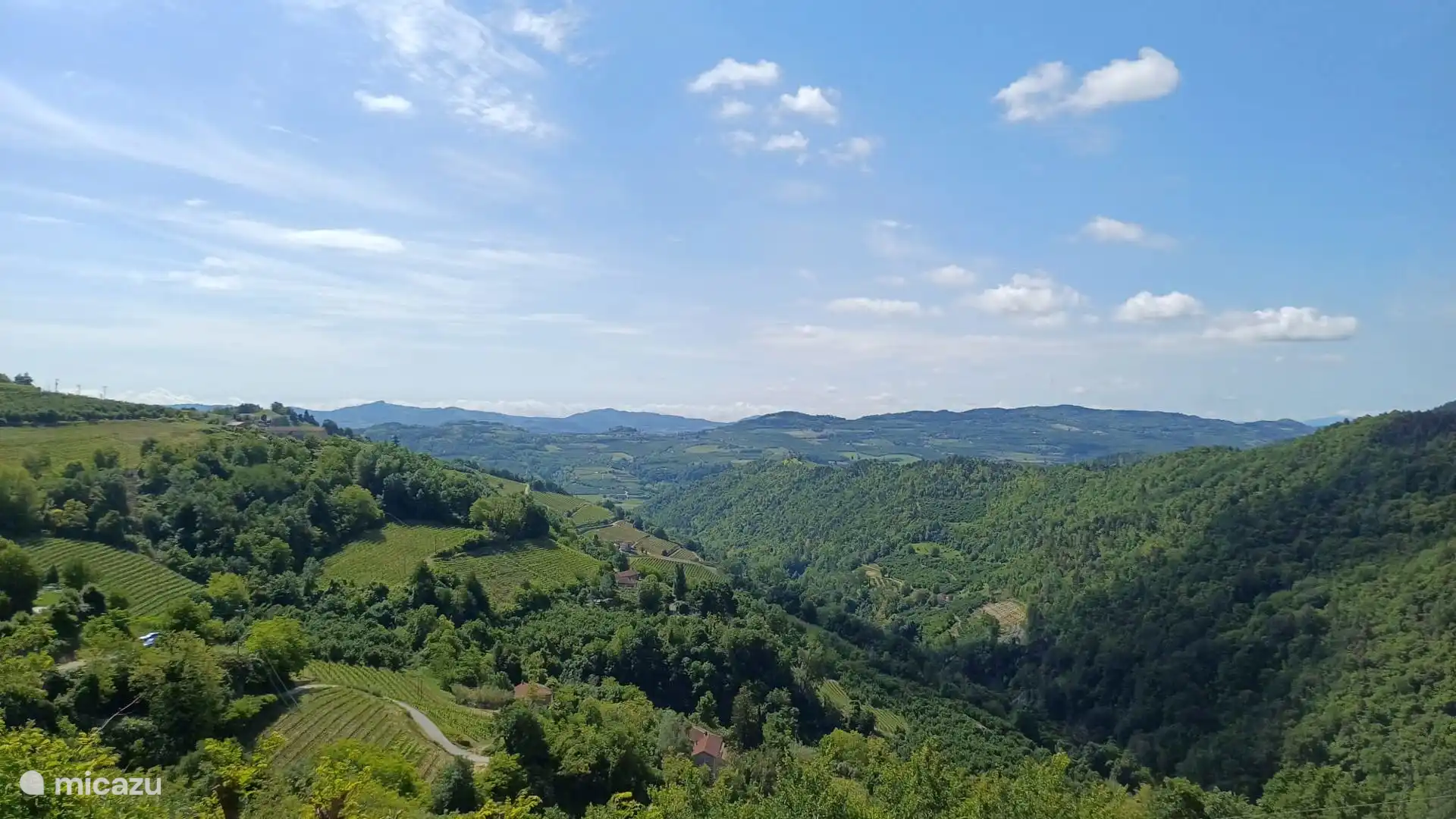 surroundings
