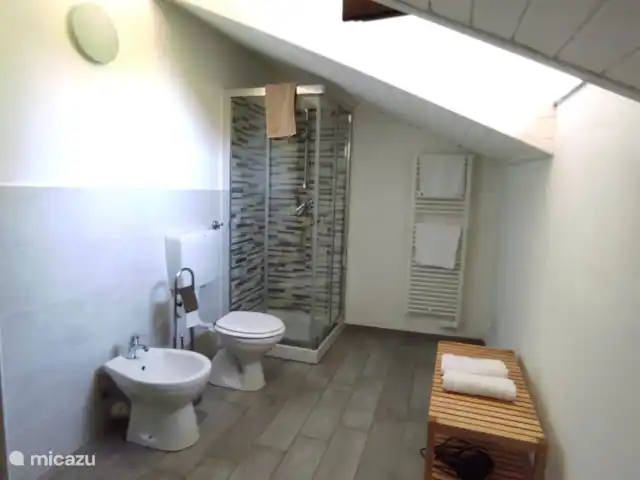 Stenen huis met zwembad, wijngaarden huren in Italië, Piëmont, Mango - villa kamer 1 badkamer