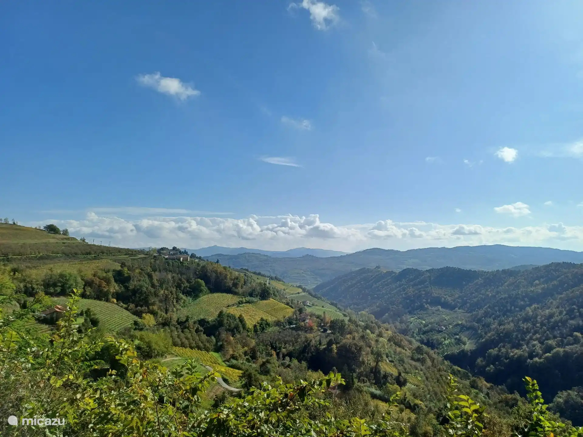 Het uitzicht vanuit de tuin