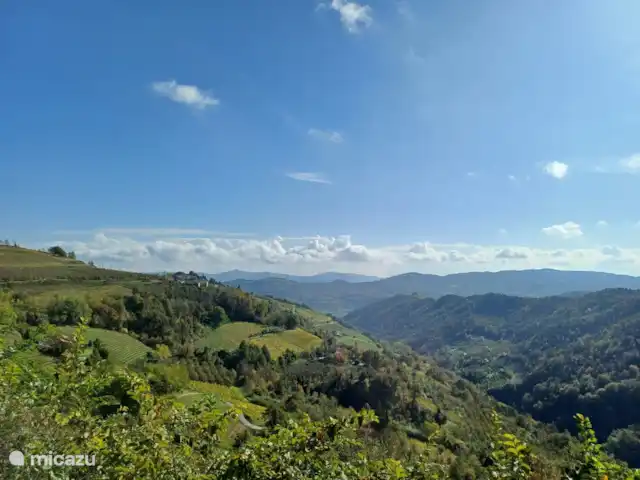 Stenen huis met zwembad, wijngaarden huren in Italië, Piëmont, Mango - villa Het uitzicht vanuit de tuin