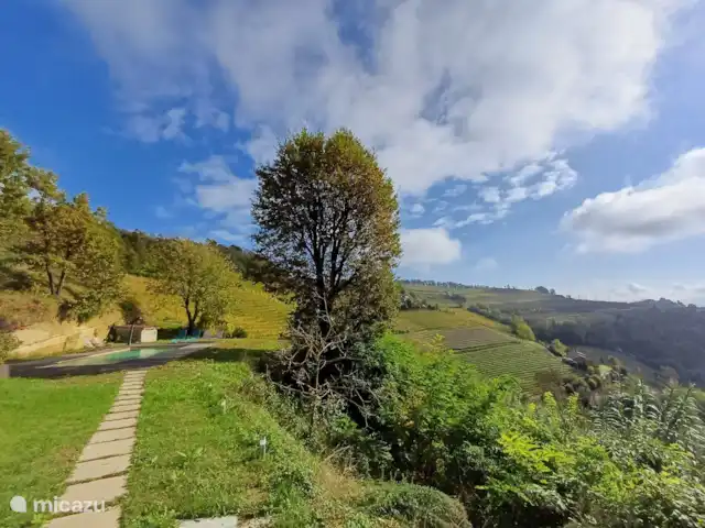 Stenen huis met zwembad, wijngaarden huren in Italië, Piëmont, Mango - villa zwembad!