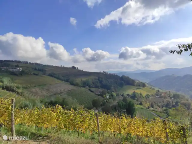 Stenen huis met zwembad, wijngaarden huren in Italië, Piëmont, Mango - villa Het uitzicht