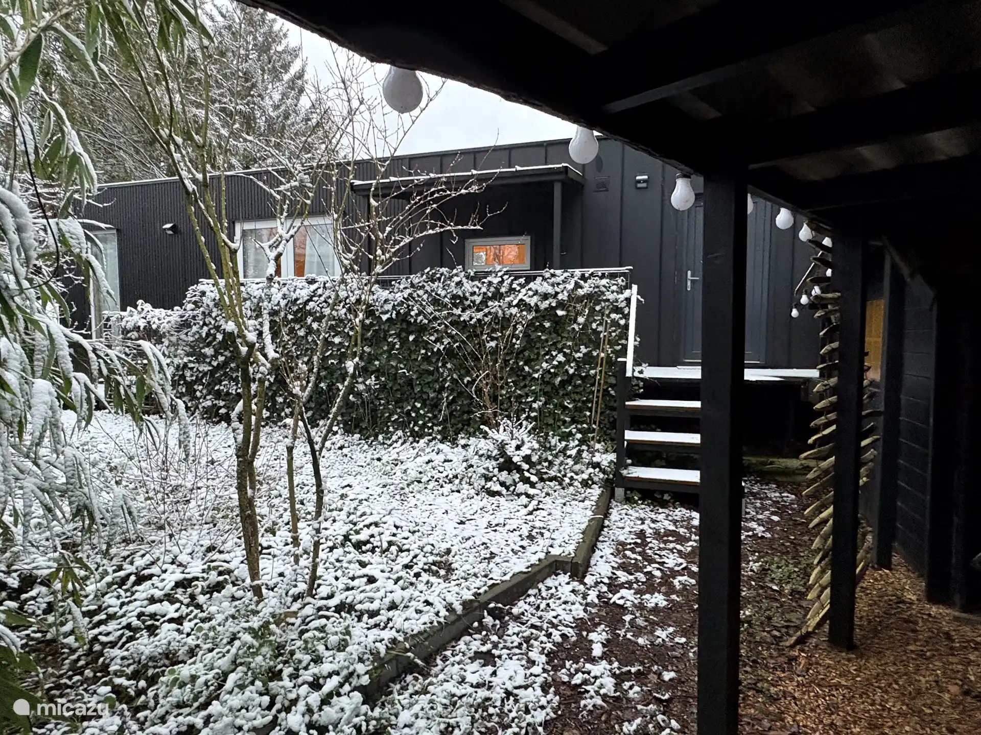 Vanuit de tuin - winter