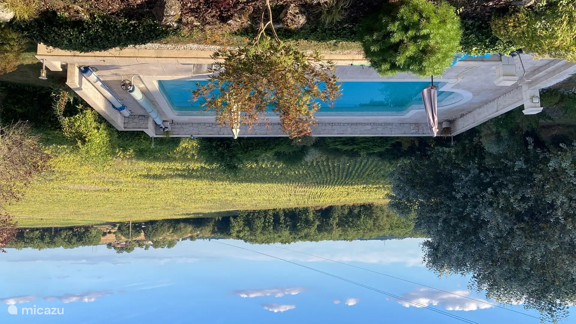 De zonnebloemen achter het zwembad bloeien uitbundig.