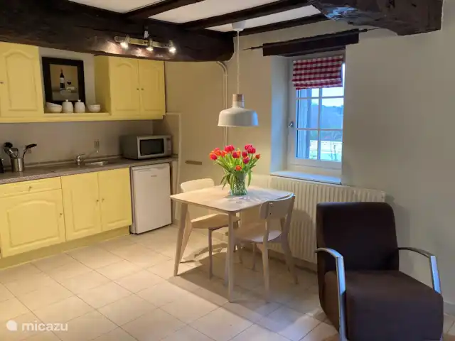 gîte / cottage huren in Frankrijk, Dordogne, Ribagnac – Les Crocus - Le Studio De keuken bevindt zich in dezelfde ruimte als de zithoek.