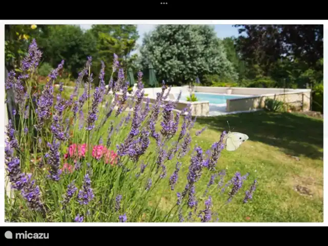 gîte / cottage huren in Frankrijk, Dordogne, Ribagnac – Les Crocus - Le Studio Zomer...