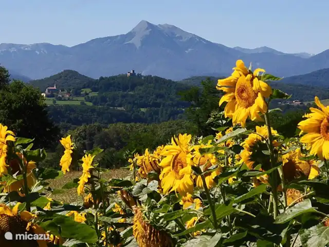 Pyrénées Passions - Le Mont Valier | France, Haute-Garonne, Estadens - gîte / cottage Pyrénées françaises | Pic du Cagire 1.912m | Domaine Pyrénées Passions