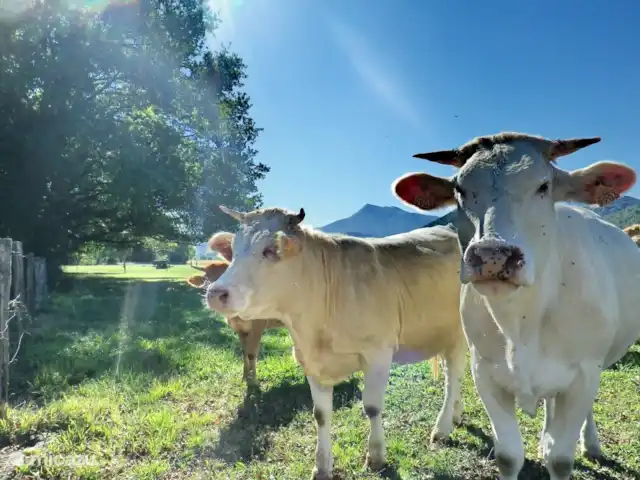 Pyrénées Passions - Le Mont Valier | France, Haute-Garonne, Estadens - gîte / cottage Environnement Estadens | Pyrénées françaises.